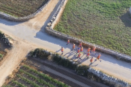 foto archivio Osservatorio